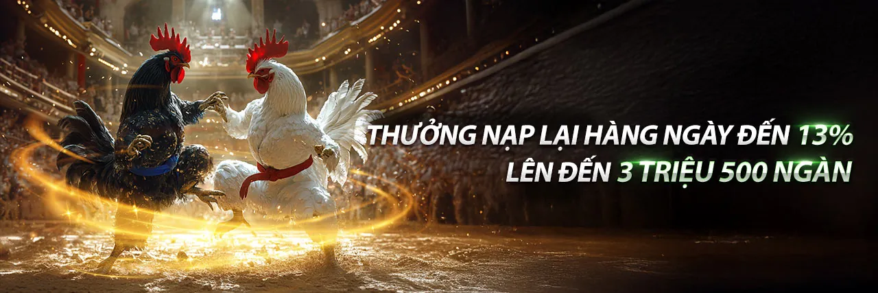 Hình ảnh giới thiệu về CO88 Login, nền tảng giải trí trực tuyến hàng đầu